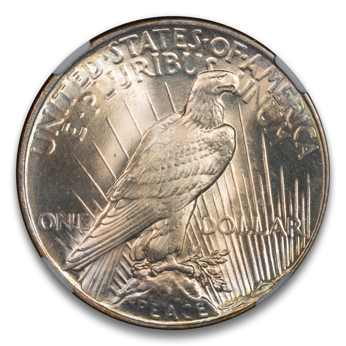 US $1 1925S NGC MS-66+ CAC Green Bean