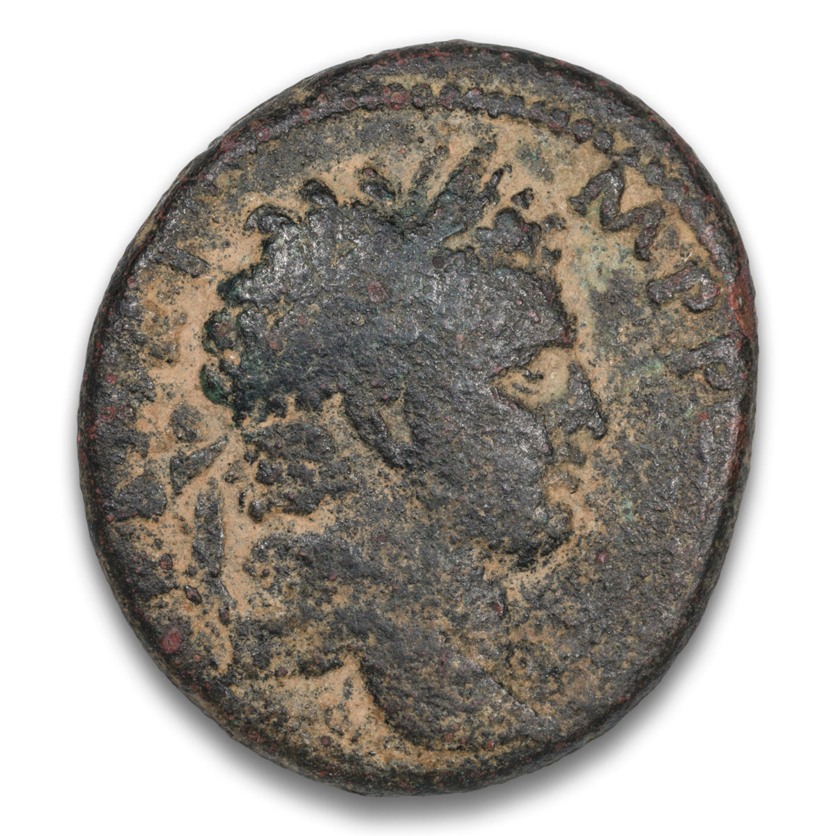 Ancient Roman Provincial Titus as Caesar Base AE AS 69-79 AD Antioch Mint