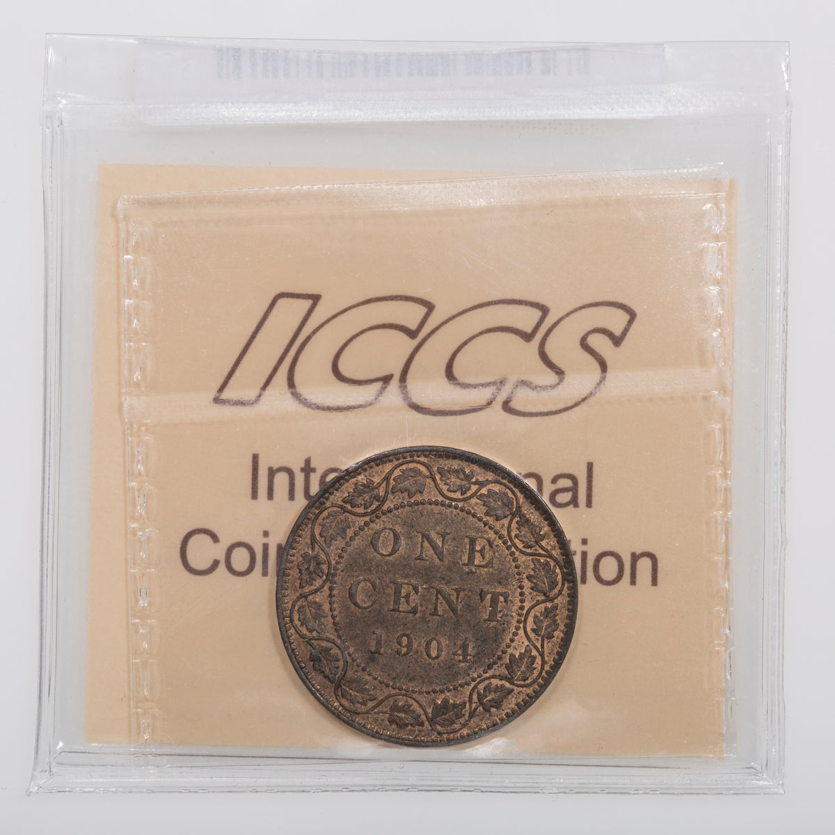 1 Cent 1904 ICCS MS-60 Brown