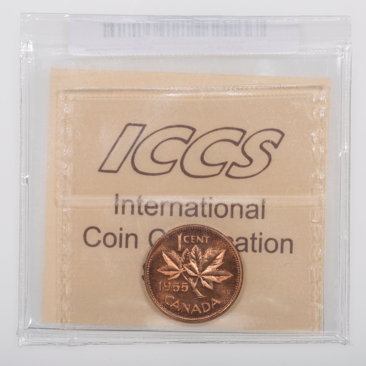 1 Cent 1955 SF ICCS PL-66 Red Cameo