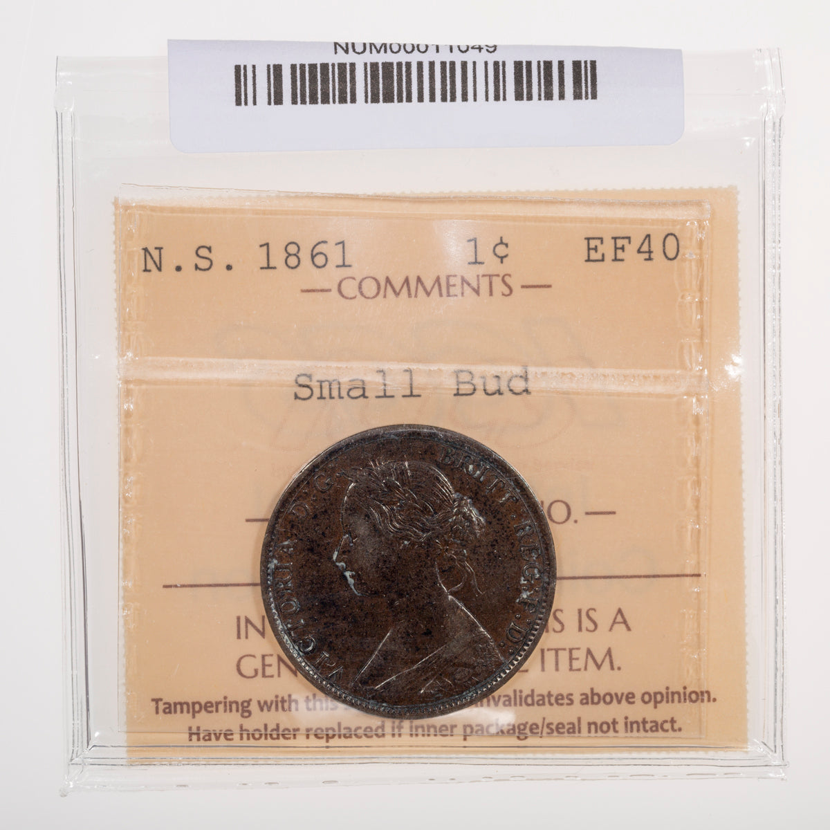 NS 1 Cent 1861 Small Bud ICCS EF-40