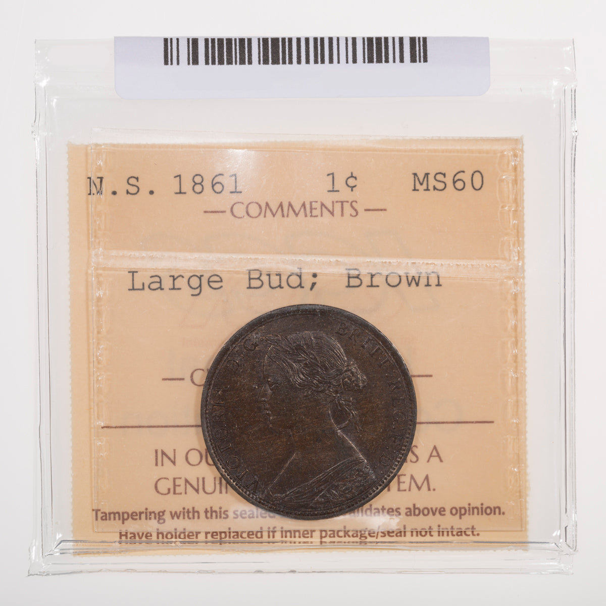 NS 1 Cent 1861 Large Bud ICCS MS-60 Brown