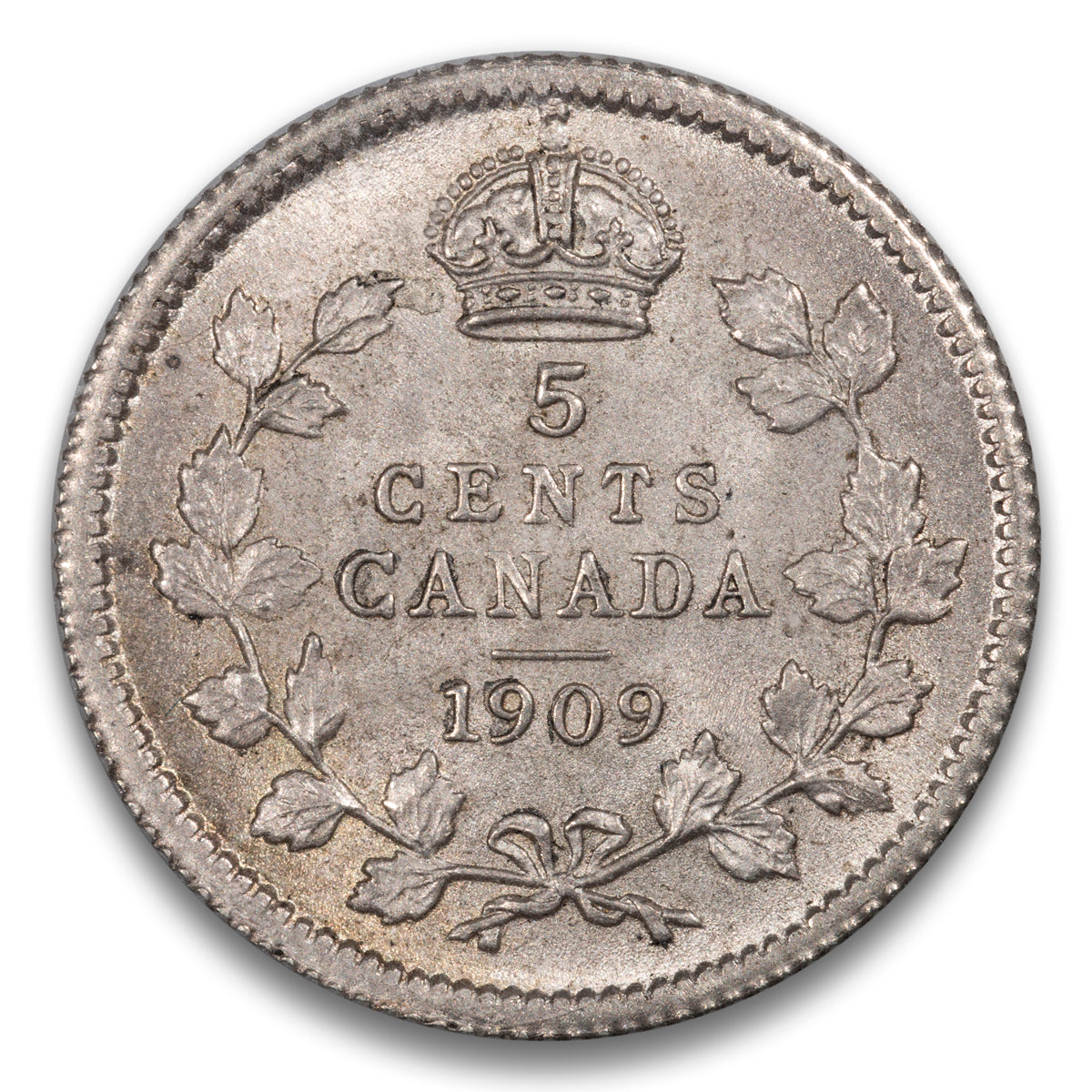 5 Cent 1909 Round Leaves Bow Tie ICCS MS-65