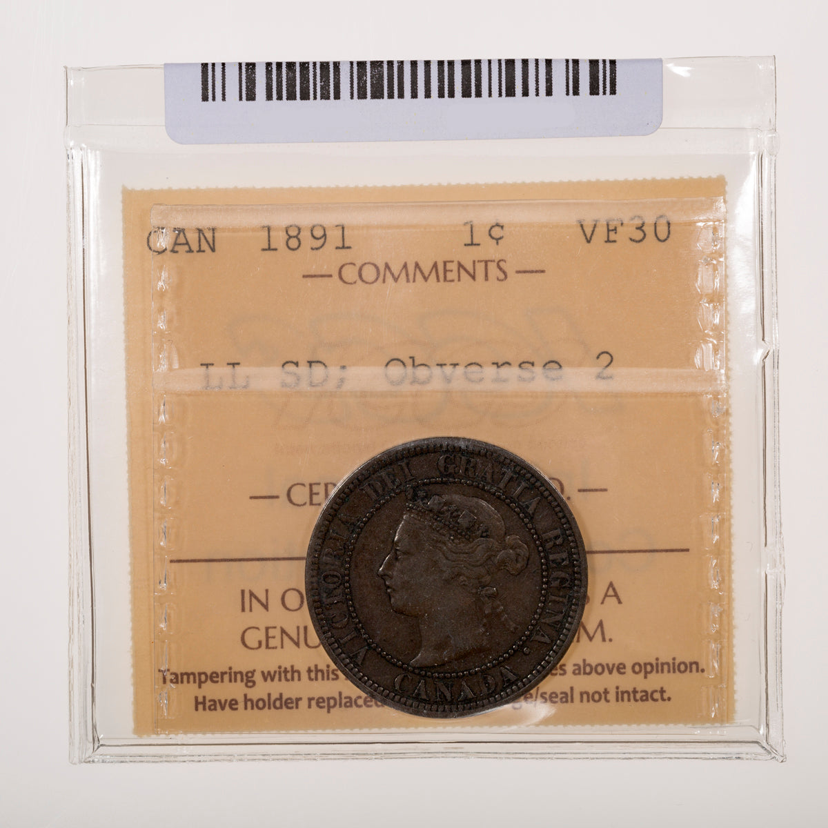1 Cent 1891 Large Leaves Small Date; Obverse 2 ICCS VF-30 Turner RP1-S1