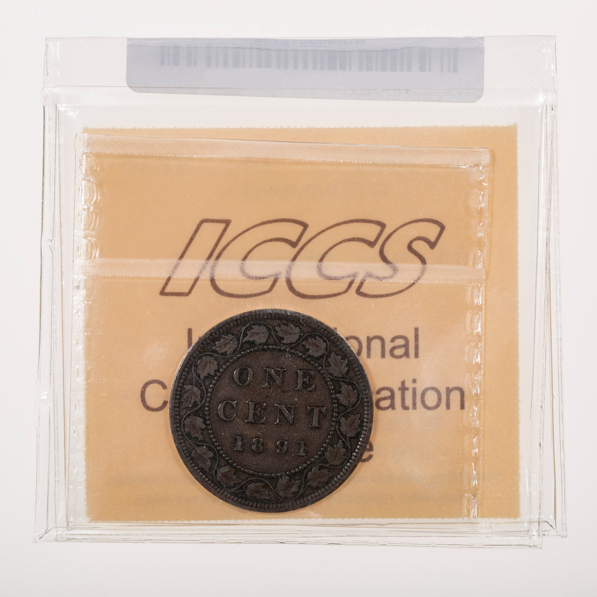 1 Cent 1891 Large Leaves Small Date; Obverse 2 ICCS VF-30 Turner RP1-S1