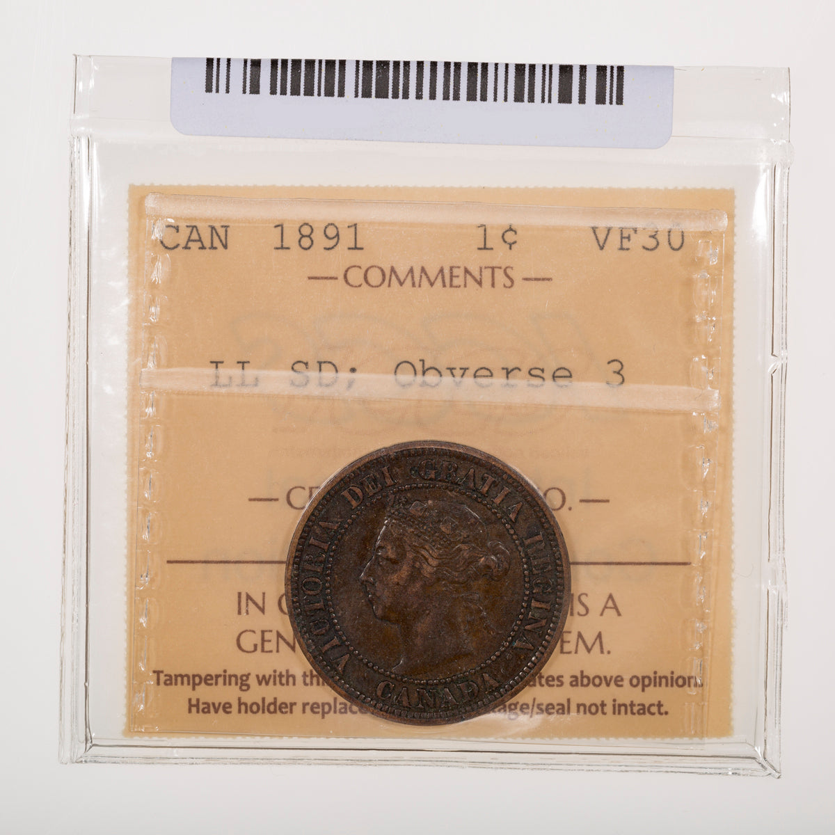 1 Cent 1891 Large Leaves Small Date; Obverse 3 ICCS VF-30