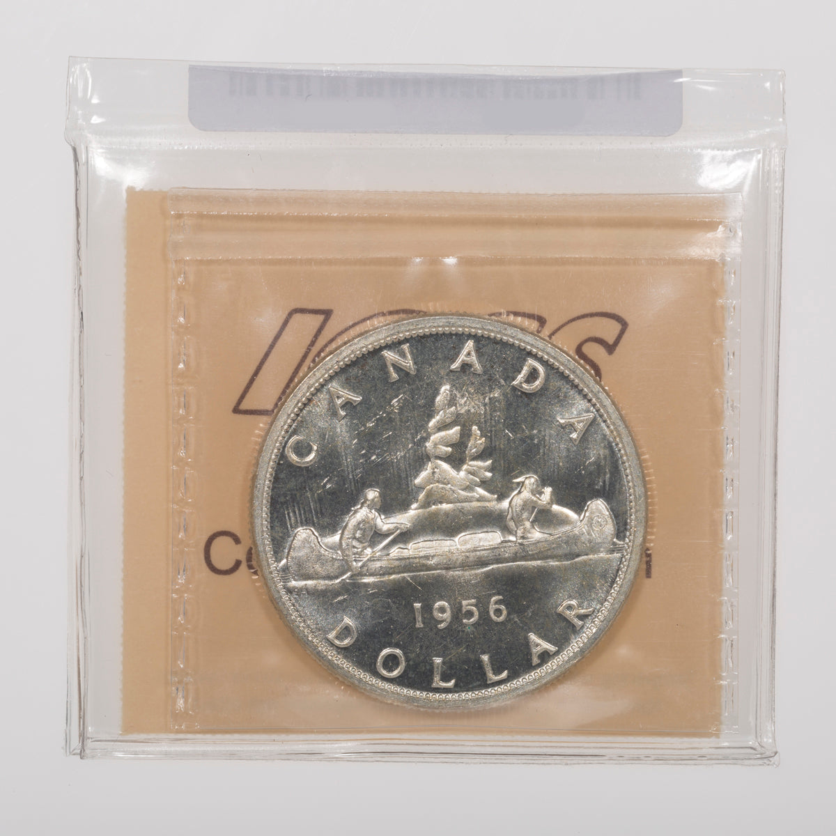 $1 1956 ICCS MS-64 Cameo