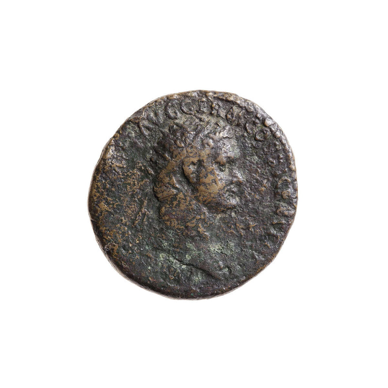 Roman Dupondius Domitian 96 AD