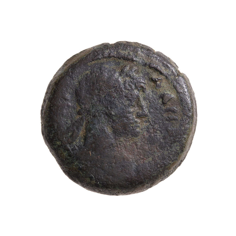 Roman Sestertius Hadrian 138 AD
