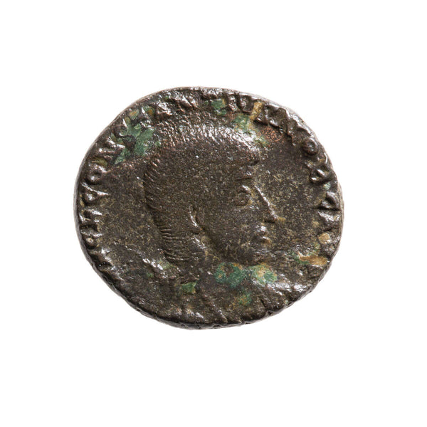 Roman Empire AE3 Constantius Gallus 354 AD VF-20