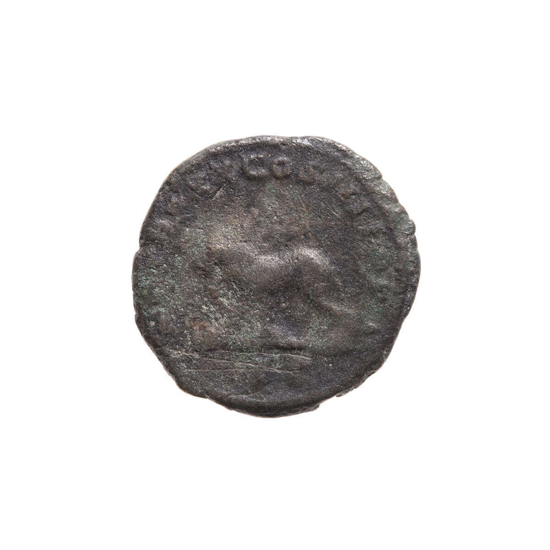 Roman  Bronze As Caracalla 217 AD