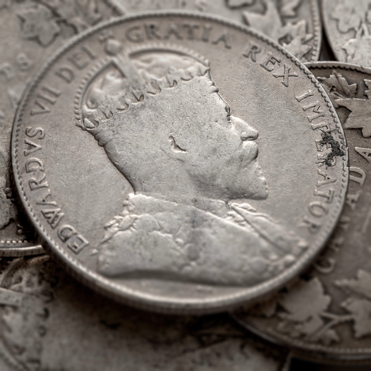 Coin Basics - Edward VII 50 Cents