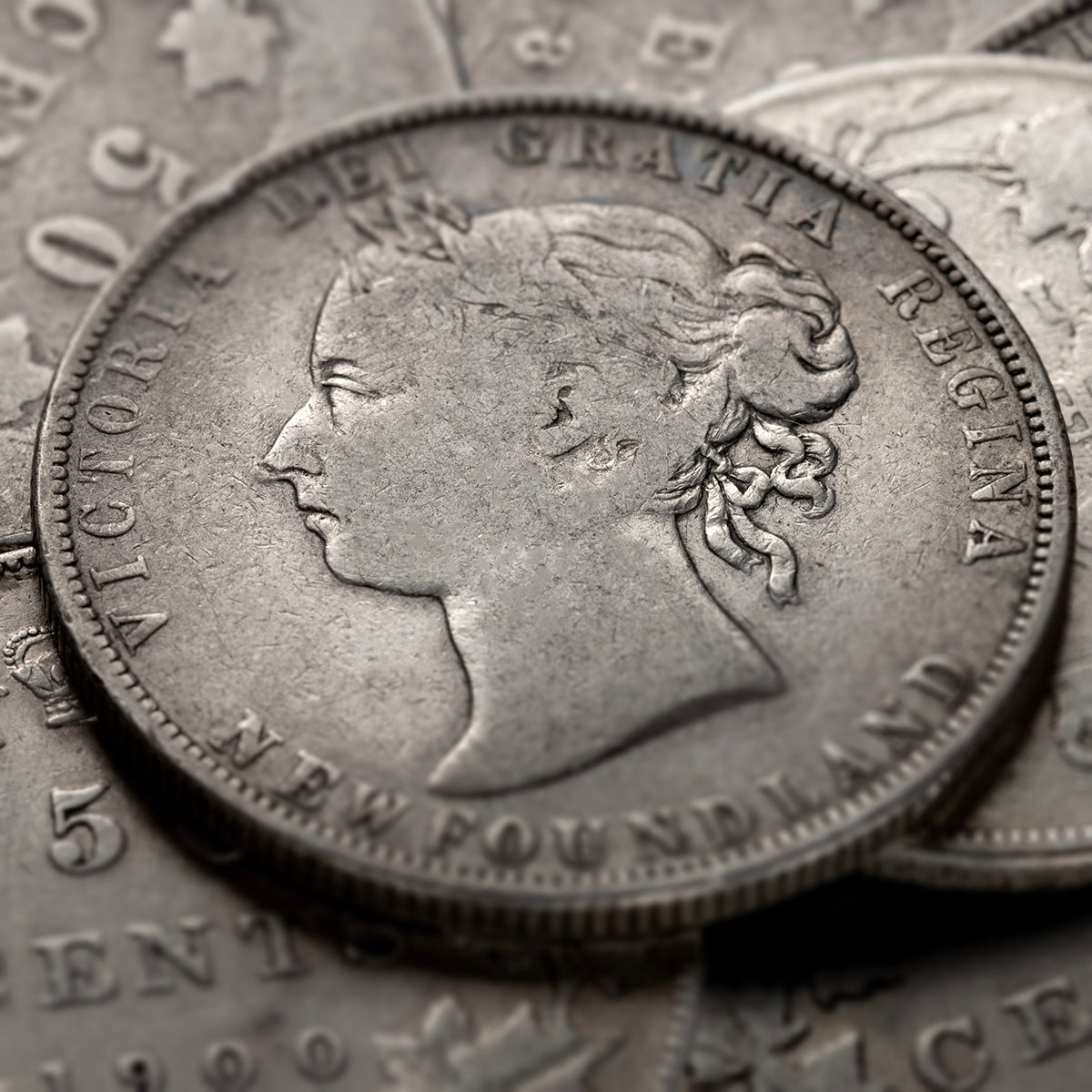 Coin Basics - Victoria 50 Cents