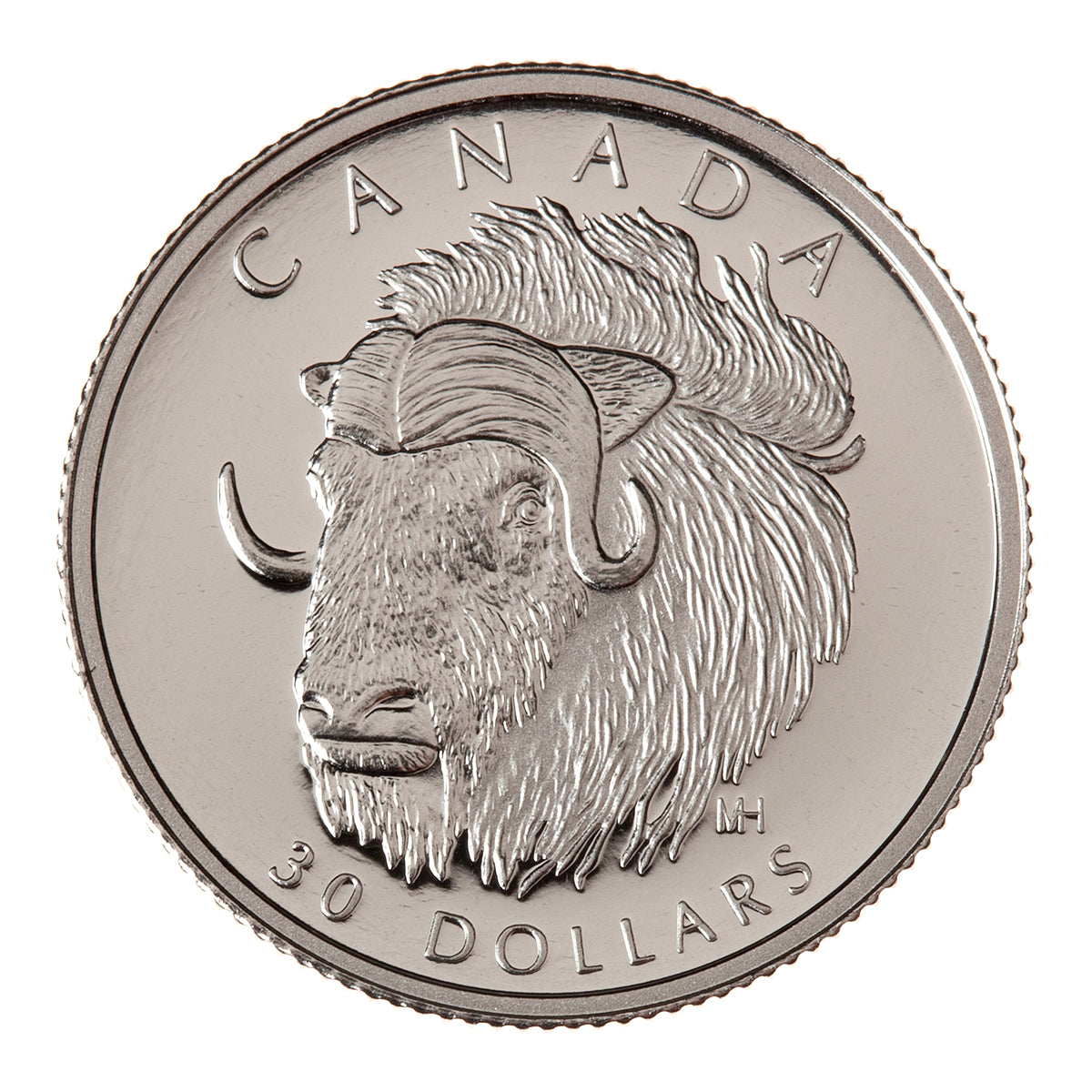 1999 $30 Muskox - Pure Platinum Coin