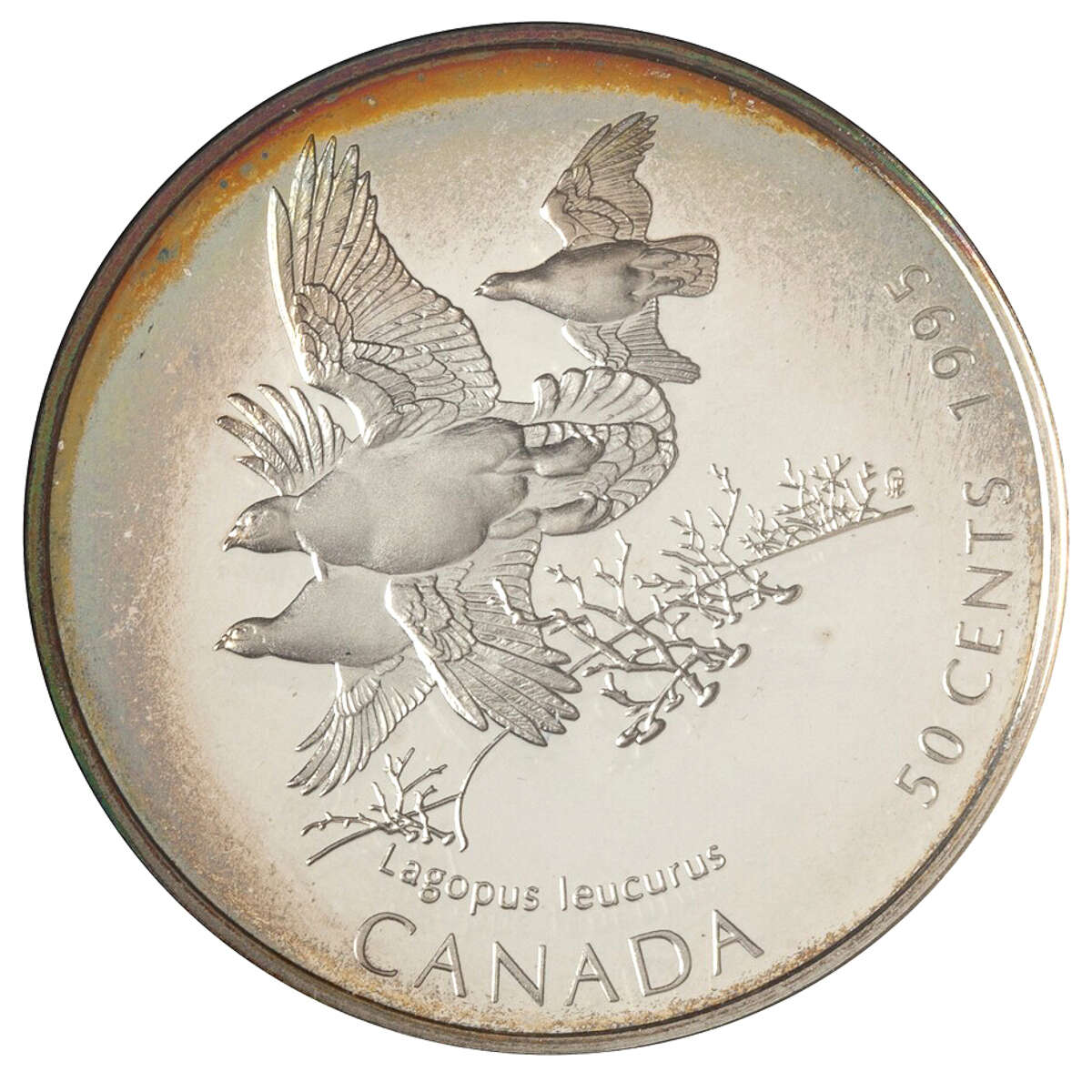 1995 50c Birds of Canada Series - Sterling Silver 4-Coin Set Default Title