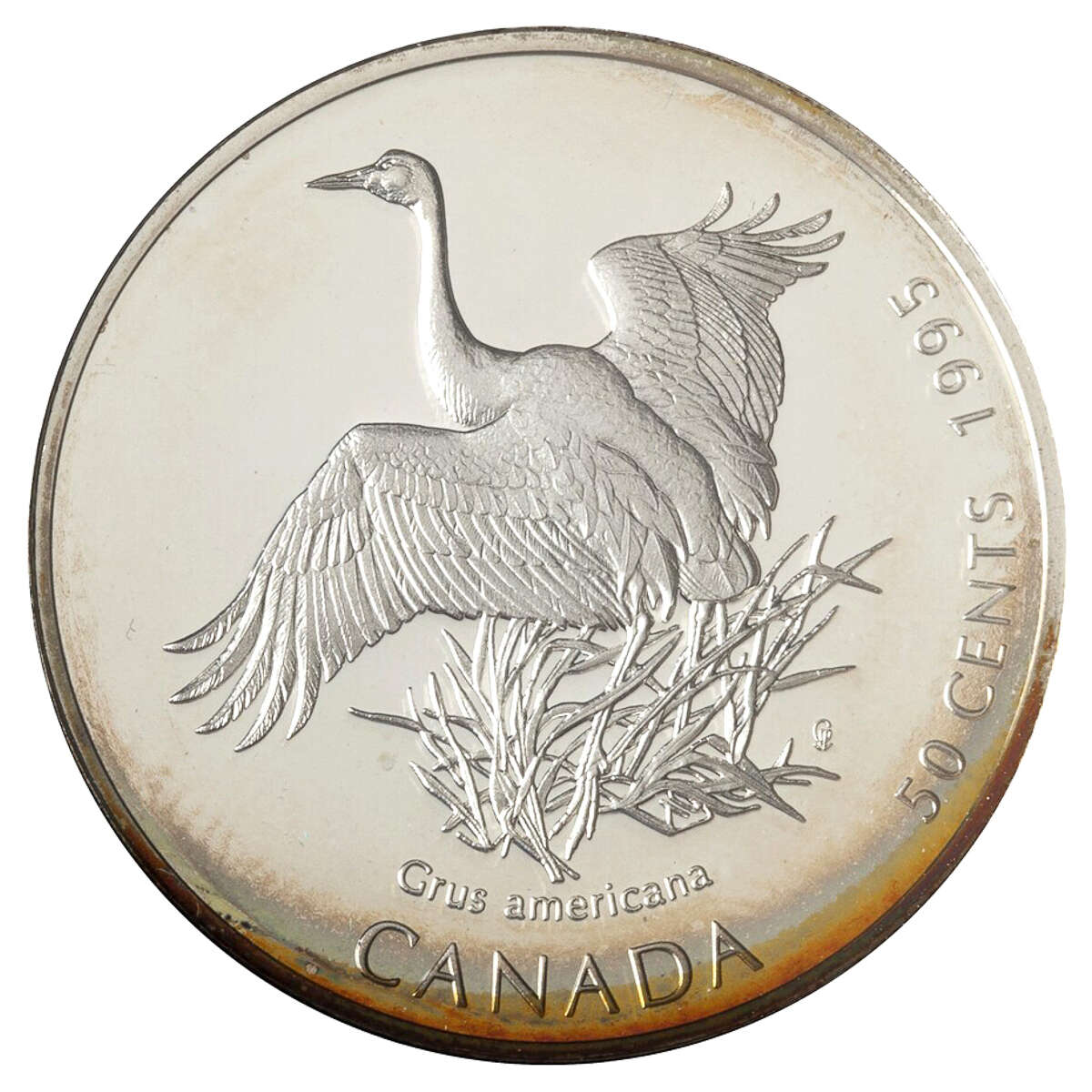 1995 50c Birds of Canada Series - Sterling Silver 4-Coin Set Default Title