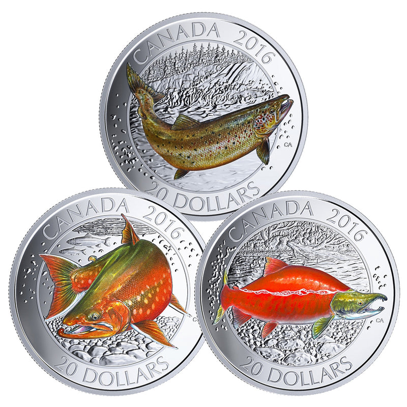 2016 $20 Canadian Salmonid - Pure Silver 3 Coin Set with Display Case and Fishing Hook Default Title