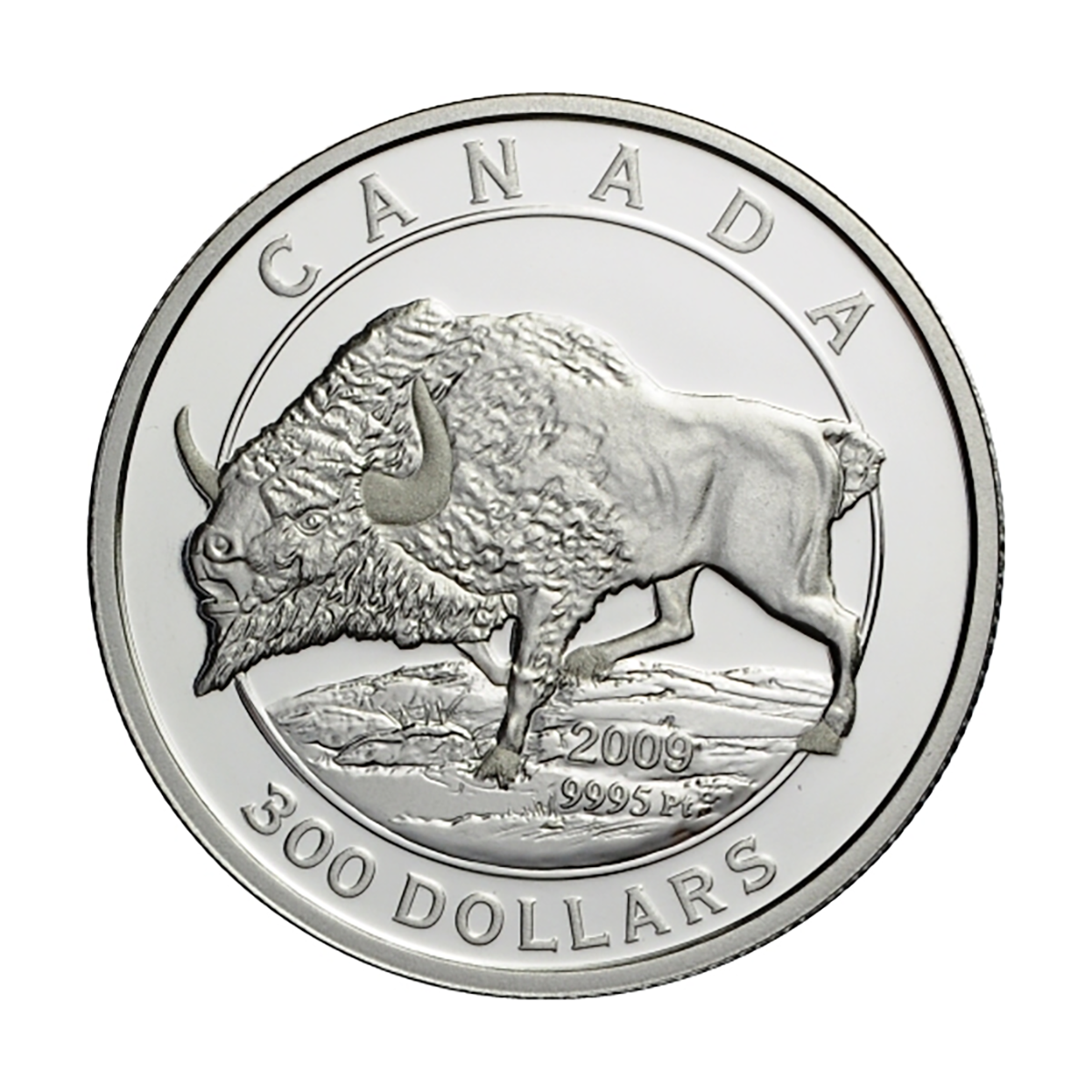 2009 $300 Steppe Bison - Pure Platinum Coin