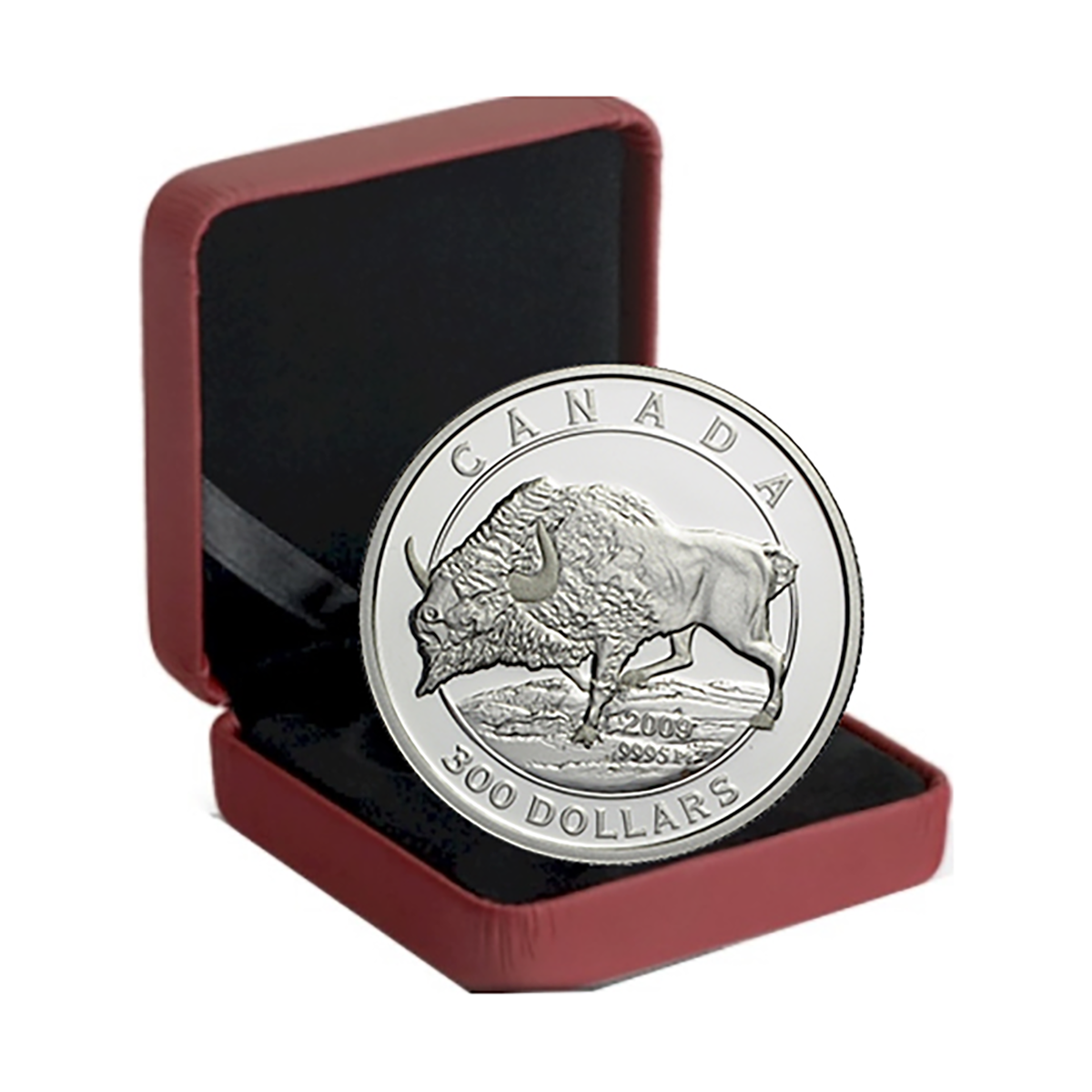 2009 $300 Steppe Bison - Pure Platinum Coin