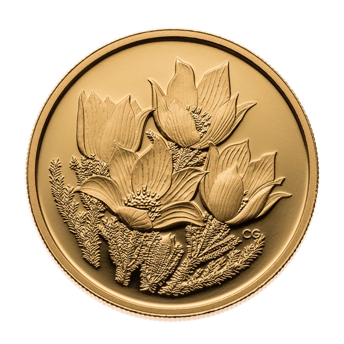 2010 $350 Prairie Crocus - Pure Gold Coin Default Title