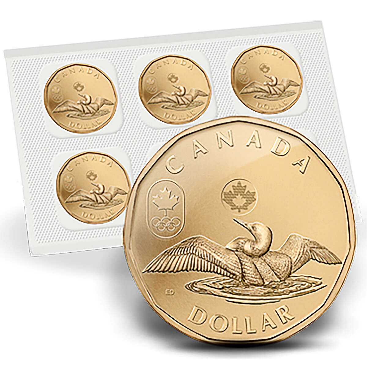 2012 $1 Lucky Loonie Circulation 5-Pack Default Title