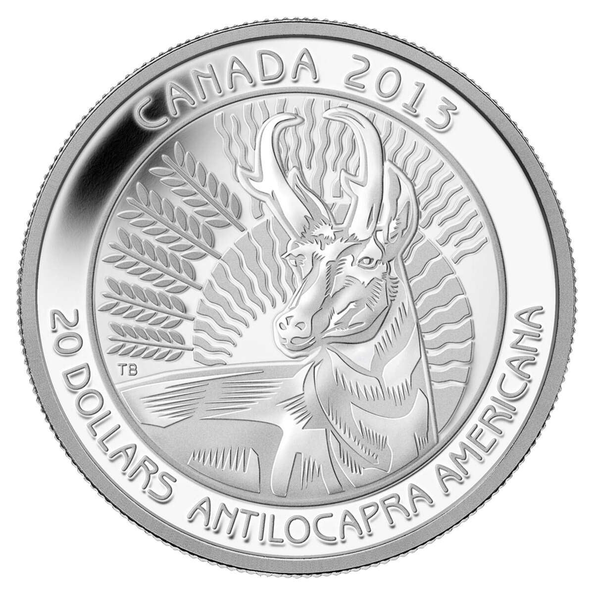 2013 $20 Pronghorn - Pure Silver Coin Default Title