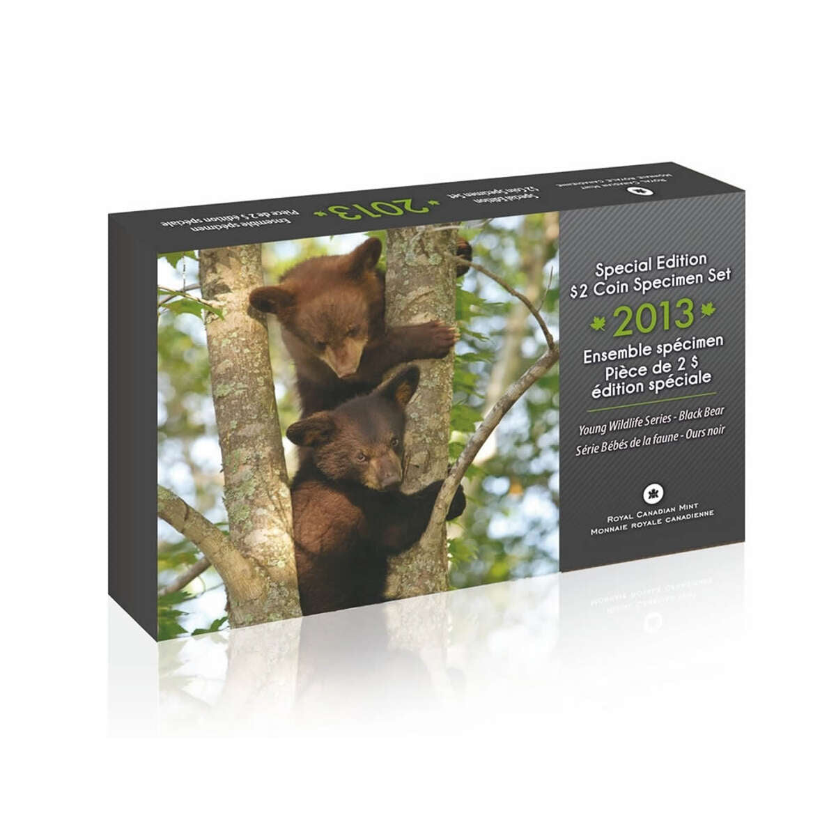 2013 Specimen Set: Black Bear Cubs - Special Edition