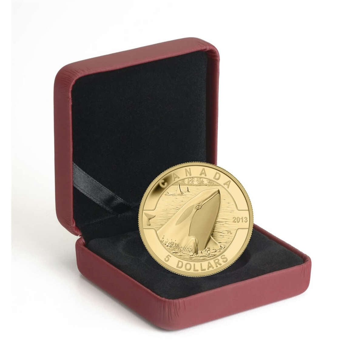 2013 $5 O Canada: Orca - Pure Gold Coin
