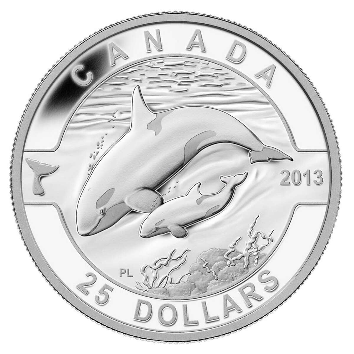 2013 $25 O Canada: Orca - Pure Silver Coin Default Title