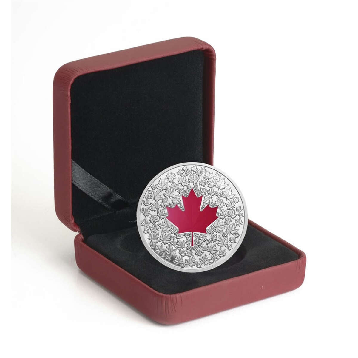 2013 $20 Maple Leaf Impression - Pure Silver Coin