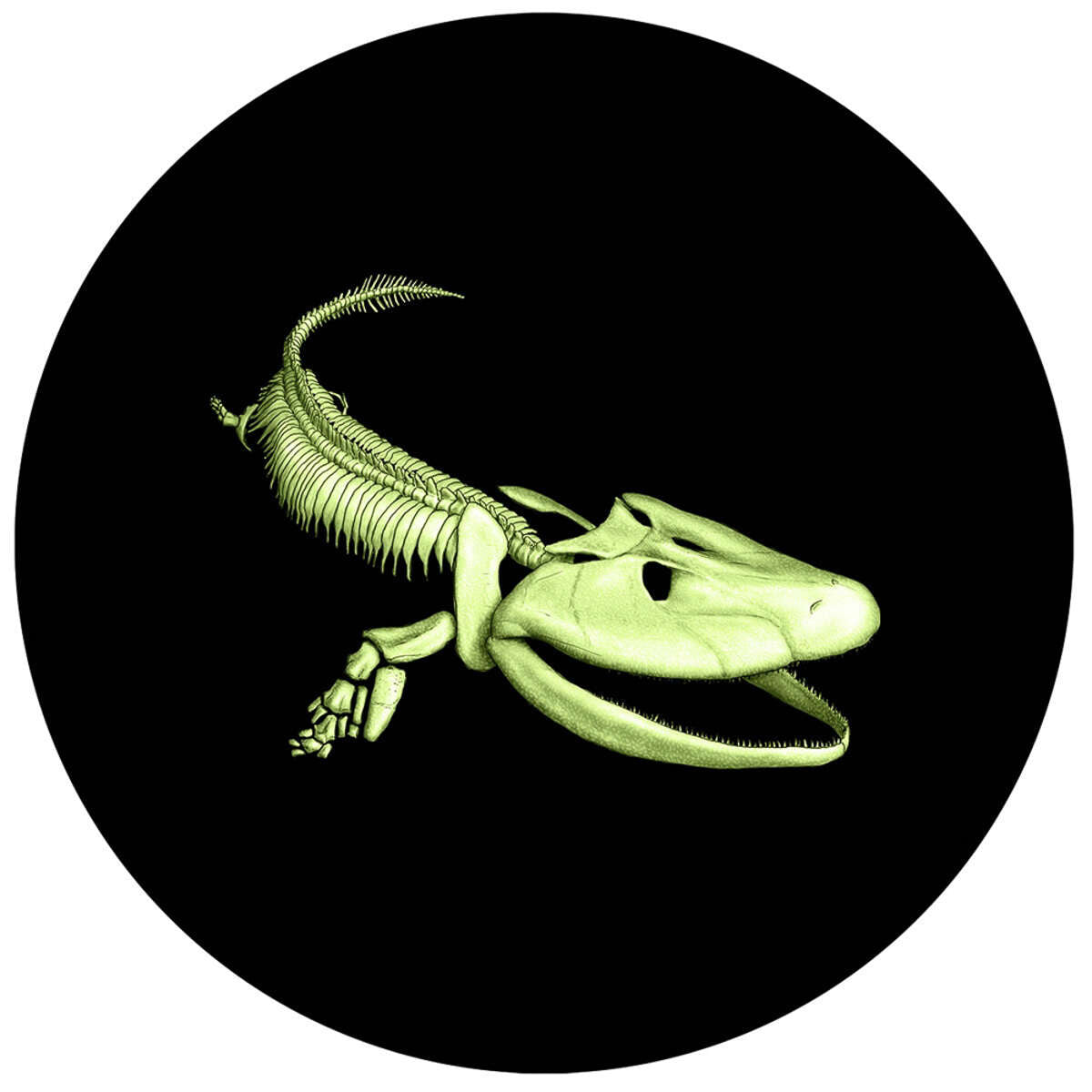 2014 25c Prehistoric Creatures: Tiktaalik - Glow-in-the-Dark Coloured Coin Default Title