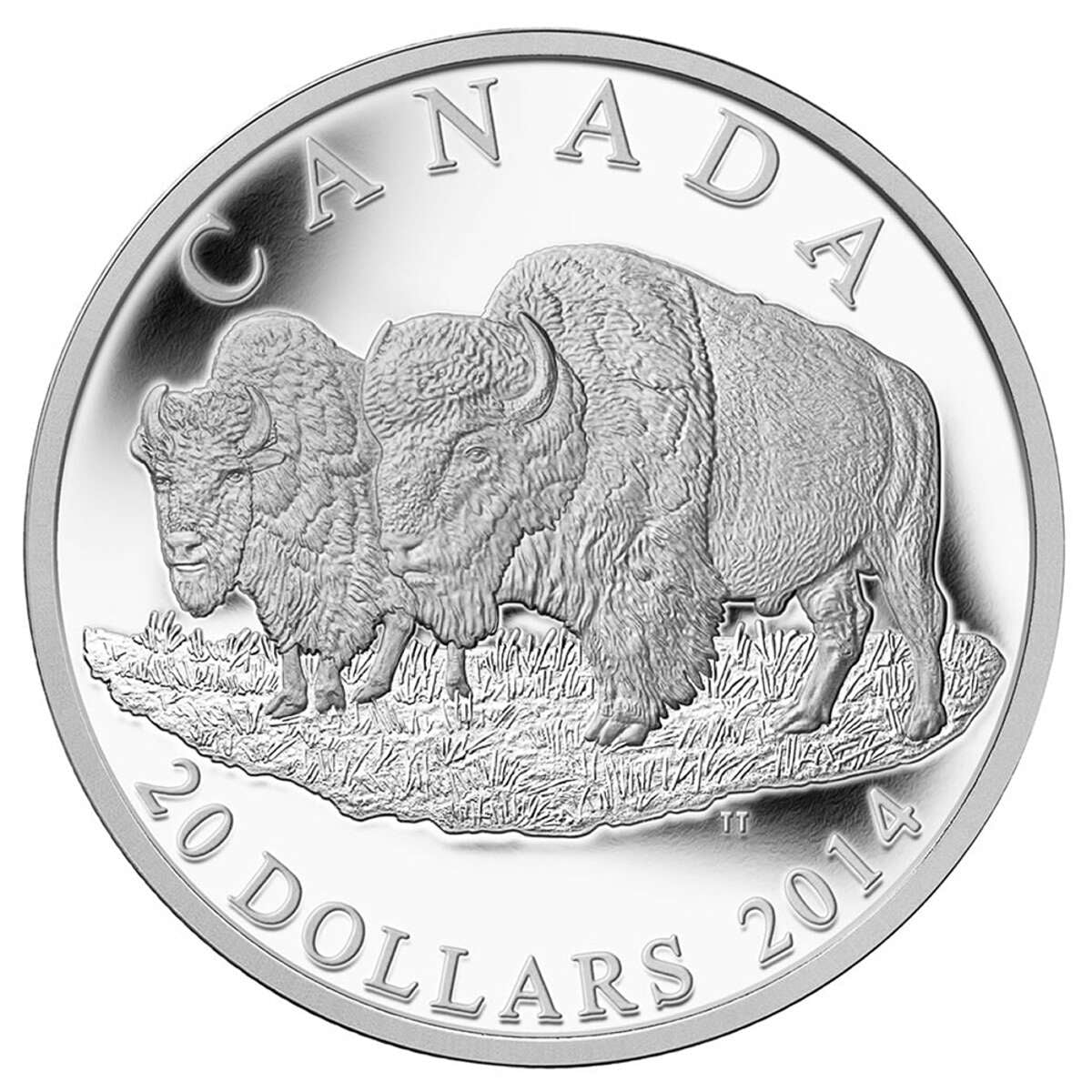 2014 $20 The Bison: The Bull And His Mate - Pure Silver Coin Default Title