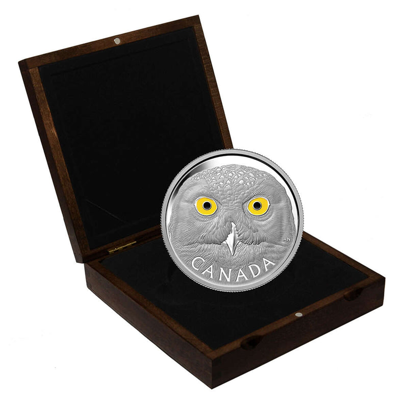 2014 $250 In the Eyes of the Snowy Owl - Pure Silver Kilo Coin Default Title