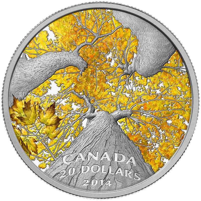 2014 $20 Maple Canopy: Autumn Allure - Pure Silver Coin Default Title