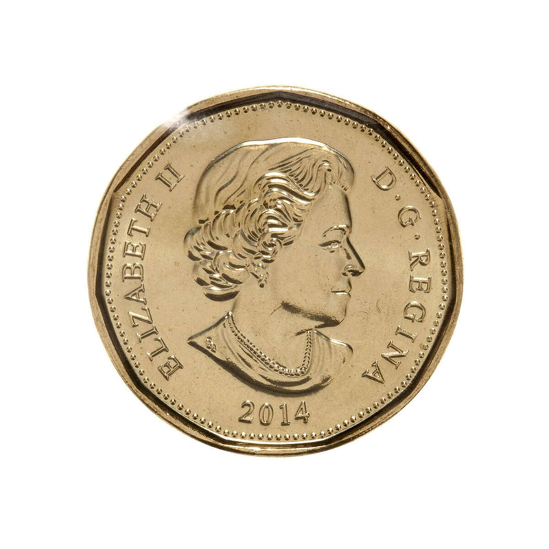 2014 $1 Lucky Loonie Circulation 5-Pack Default Title