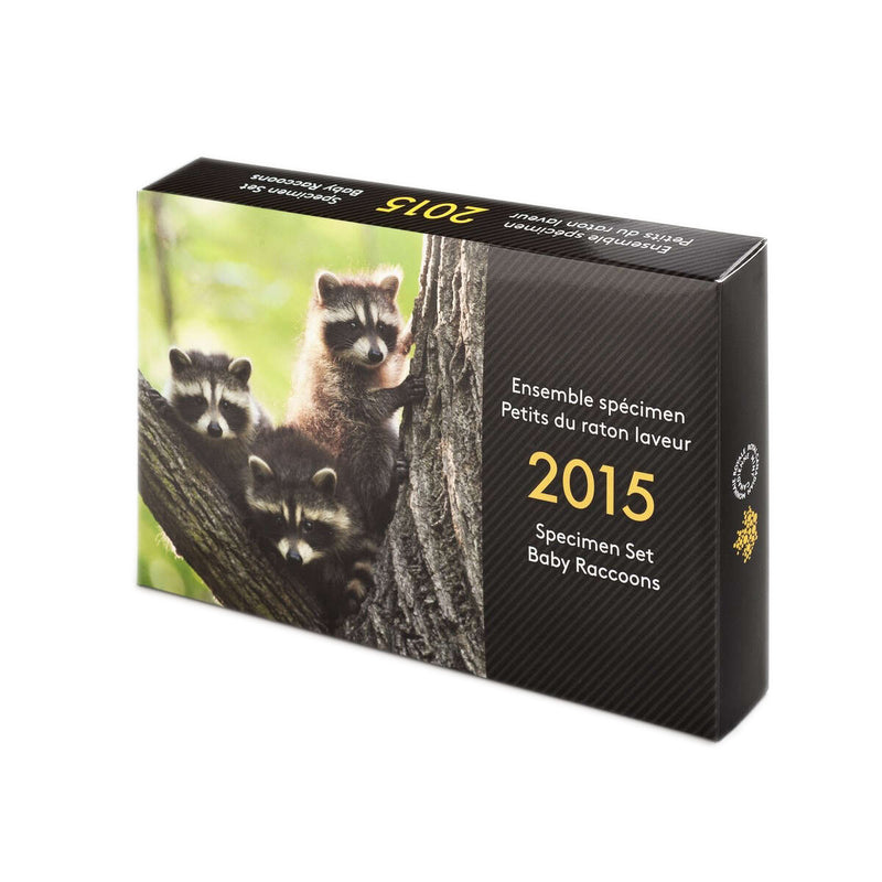 2015 Specimen Set: Baby Raccoon