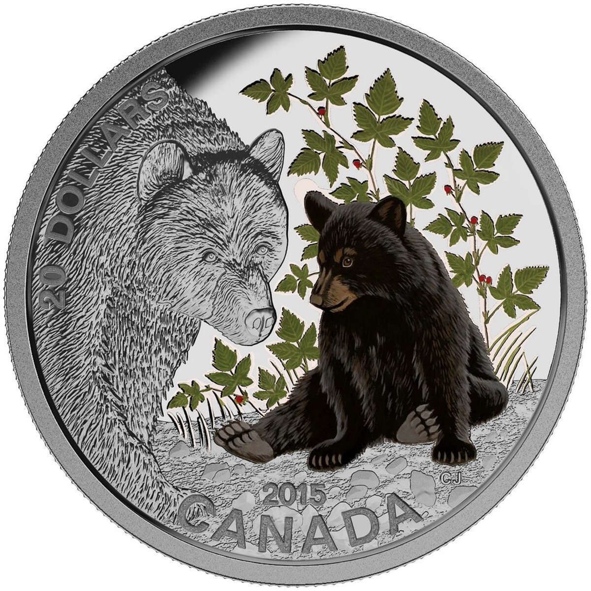 2015 $20 Baby Animals: Black Bear - Pure Silver Coin Default Title