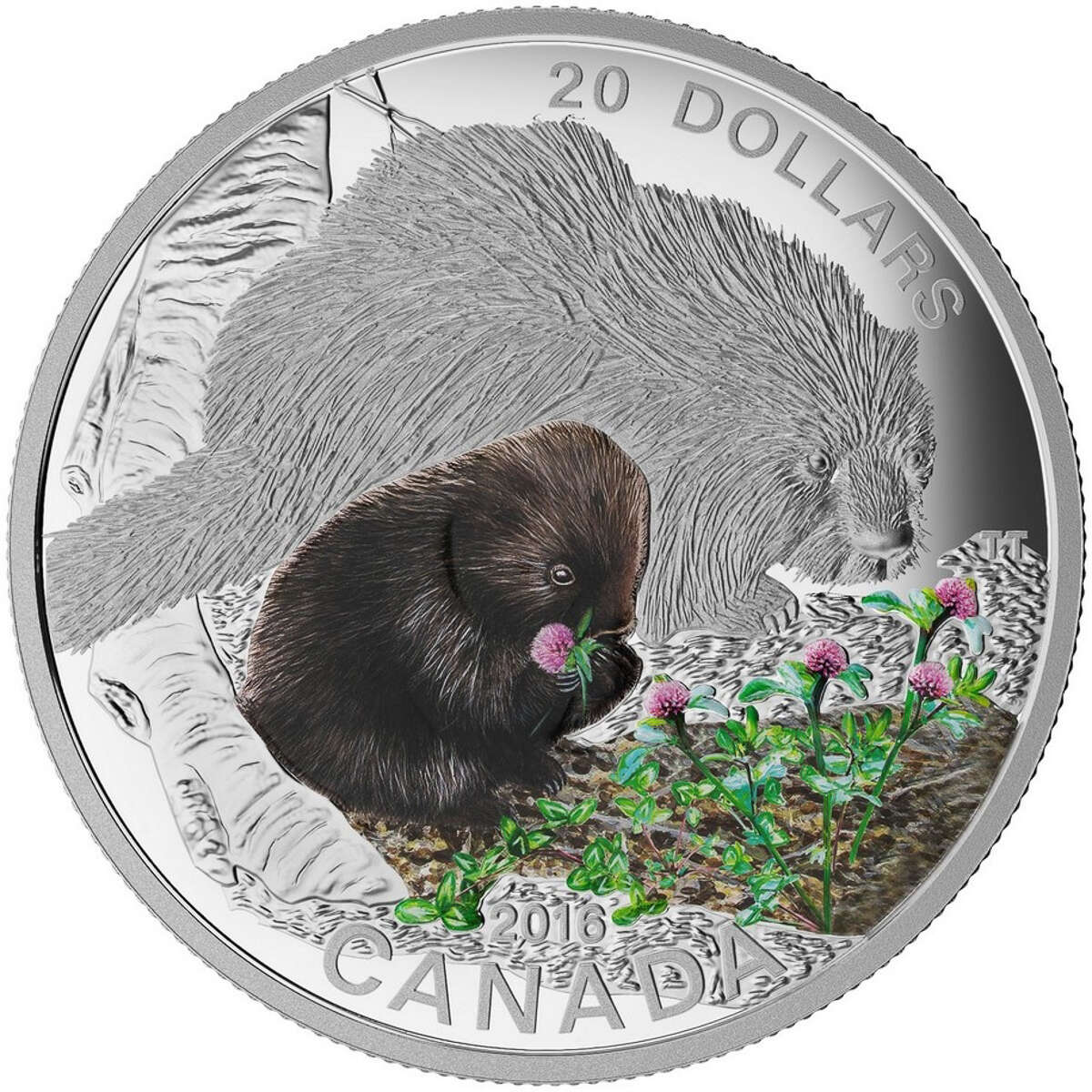 2016 $20 Baby Animals: Porcupine - Pure Silver Coin Default Title