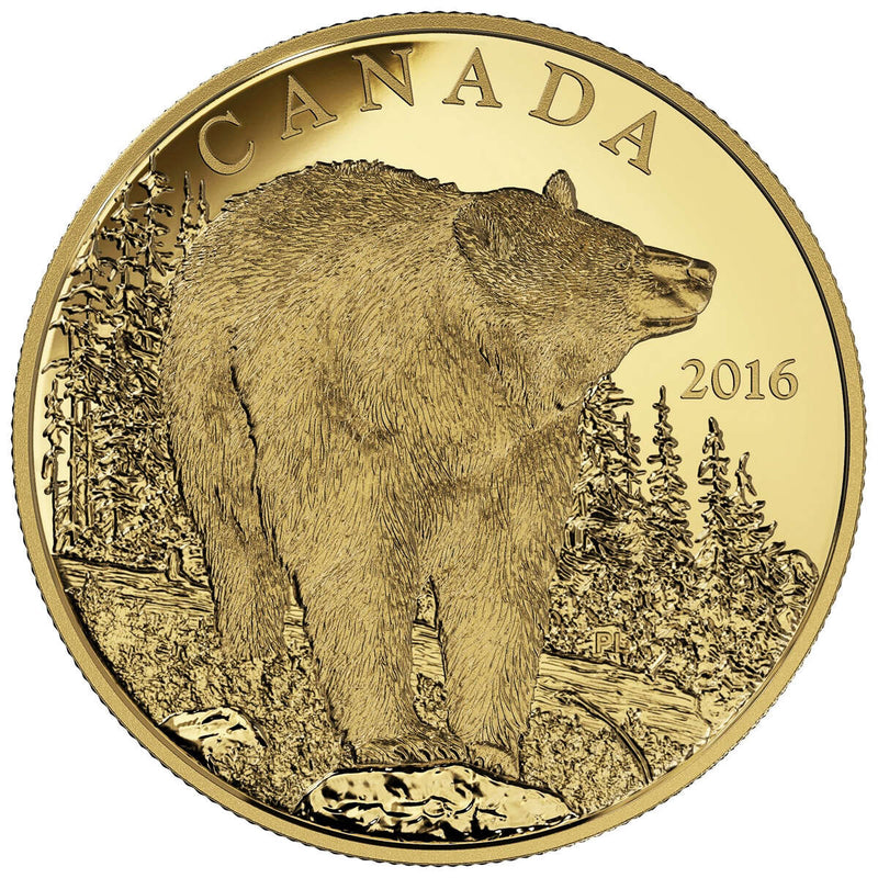 2016 $350 The Bold Black Bear - Pure Gold Coin Default Title