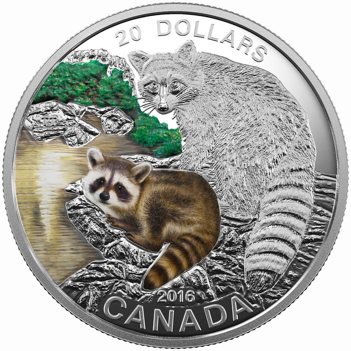 2016 $20 Baby Animals: Raccoon - Pure Silver Coin Default Title