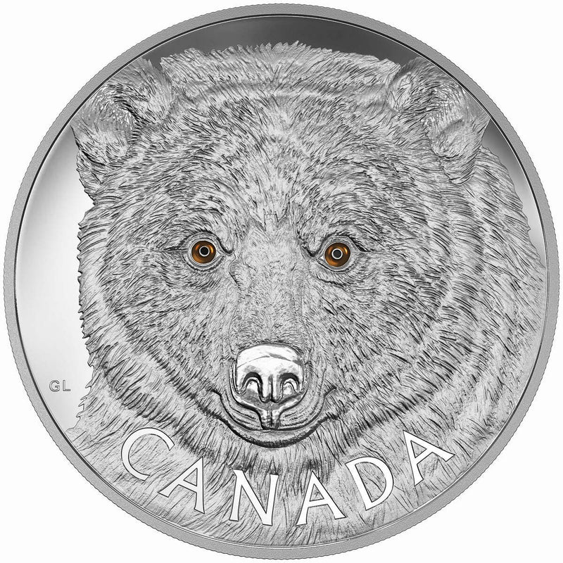 2016 $250 In the Eyes of the Spirit Bear - Pure Silver Kilo Coin Default Title