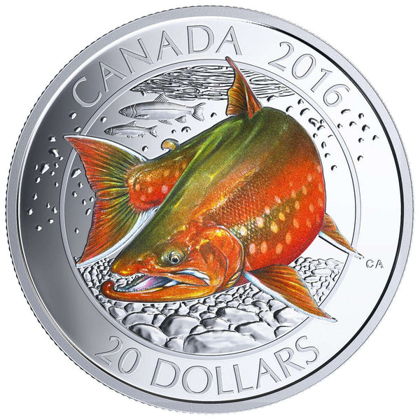 2016 $20 Canadian Salmonids: Arctic Char - Pure Silver Coin