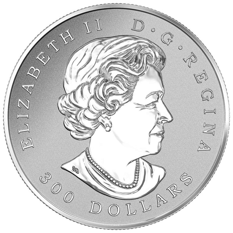 2016 $300 Maple Leaf Forever - Pure Platinum Coin Default Title