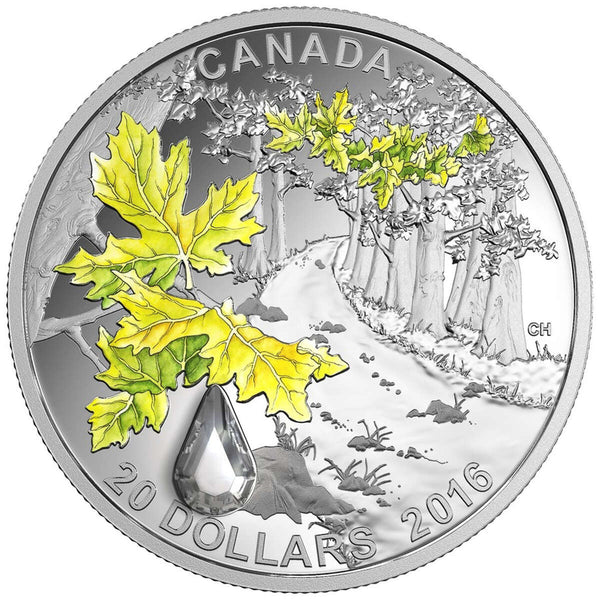 2016 $20 Jewel of the Rain: Bigleaf Maple - Pure Silver Coin