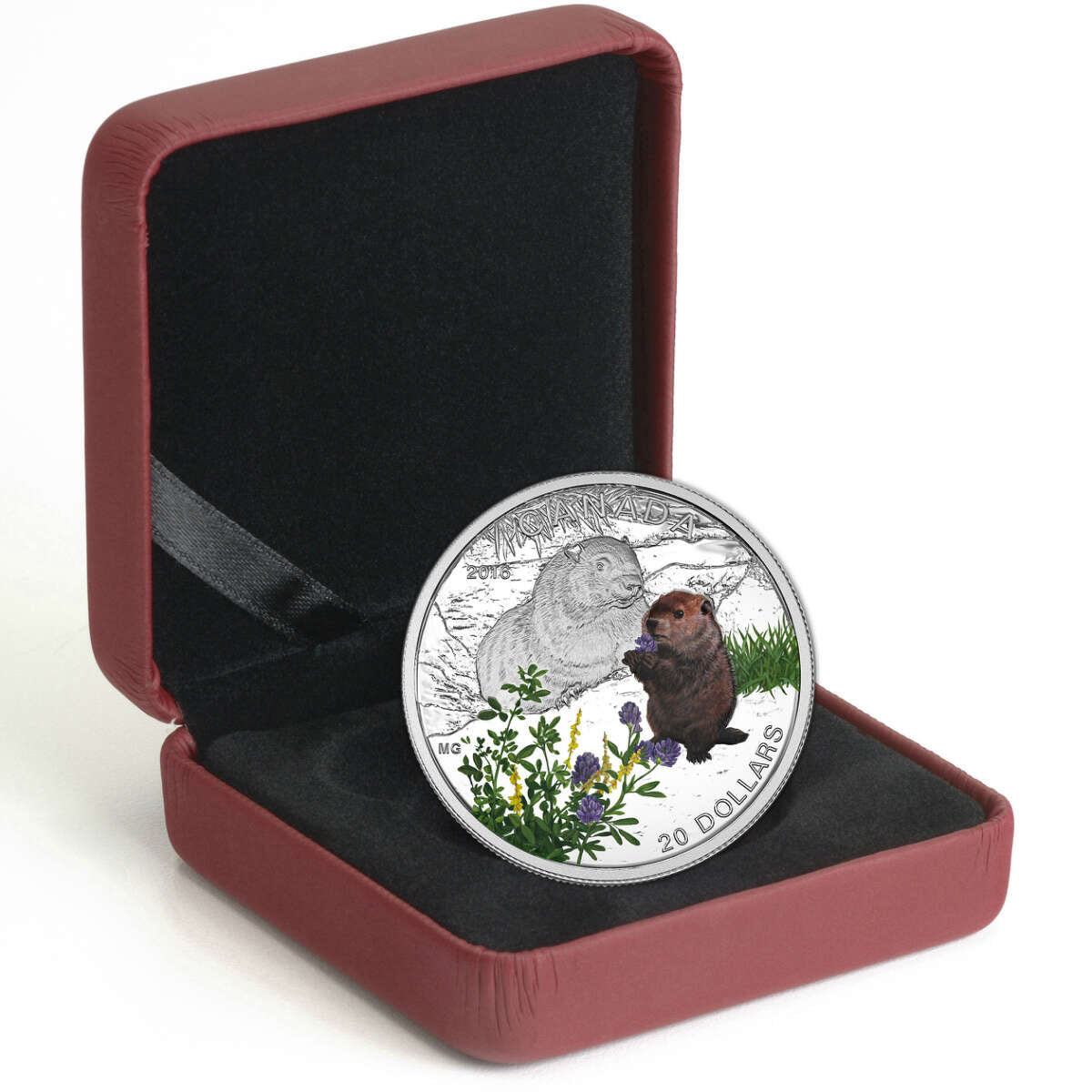 2016 $20 Baby Animals: Woodchuck - Pure Silver Coin