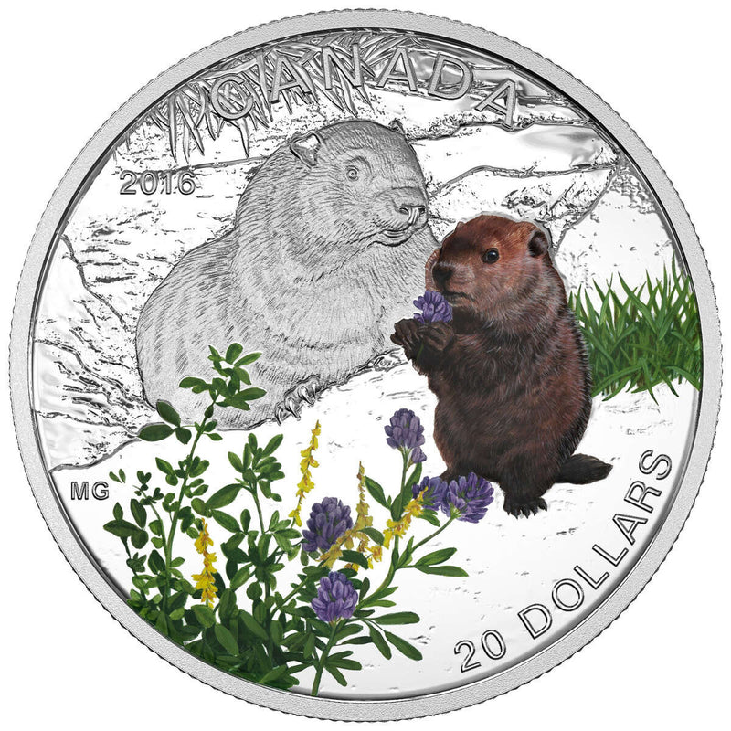 2016 $20 Baby Animals: Woodchuck - Pure Silver Coin Default Title