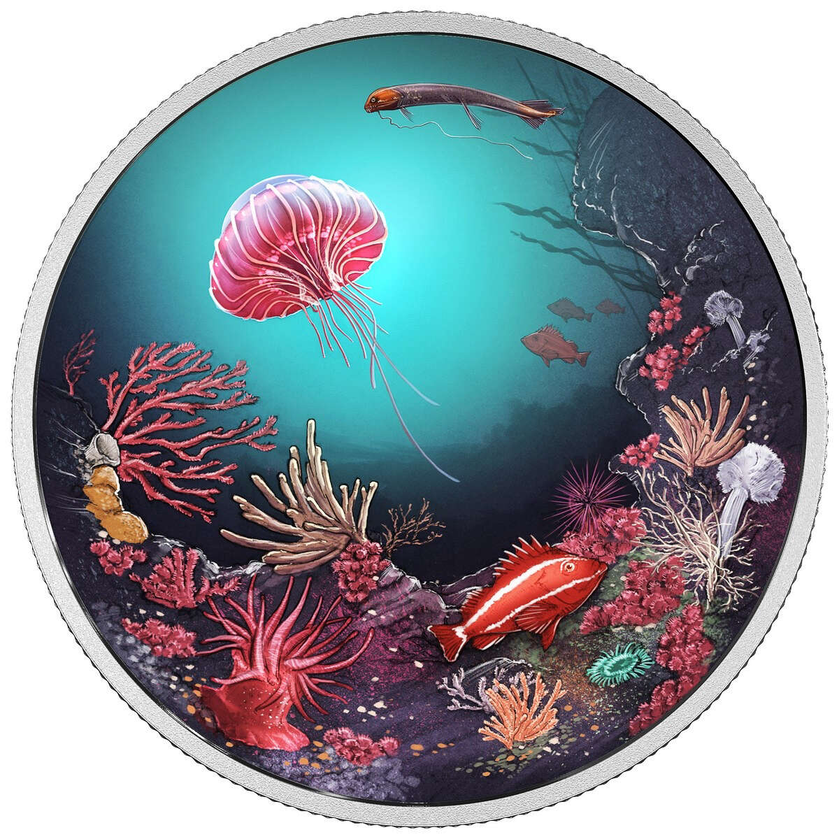 2016 $30 Luminescent Life (Under the Sea) - Pure Silver Coin Default Title