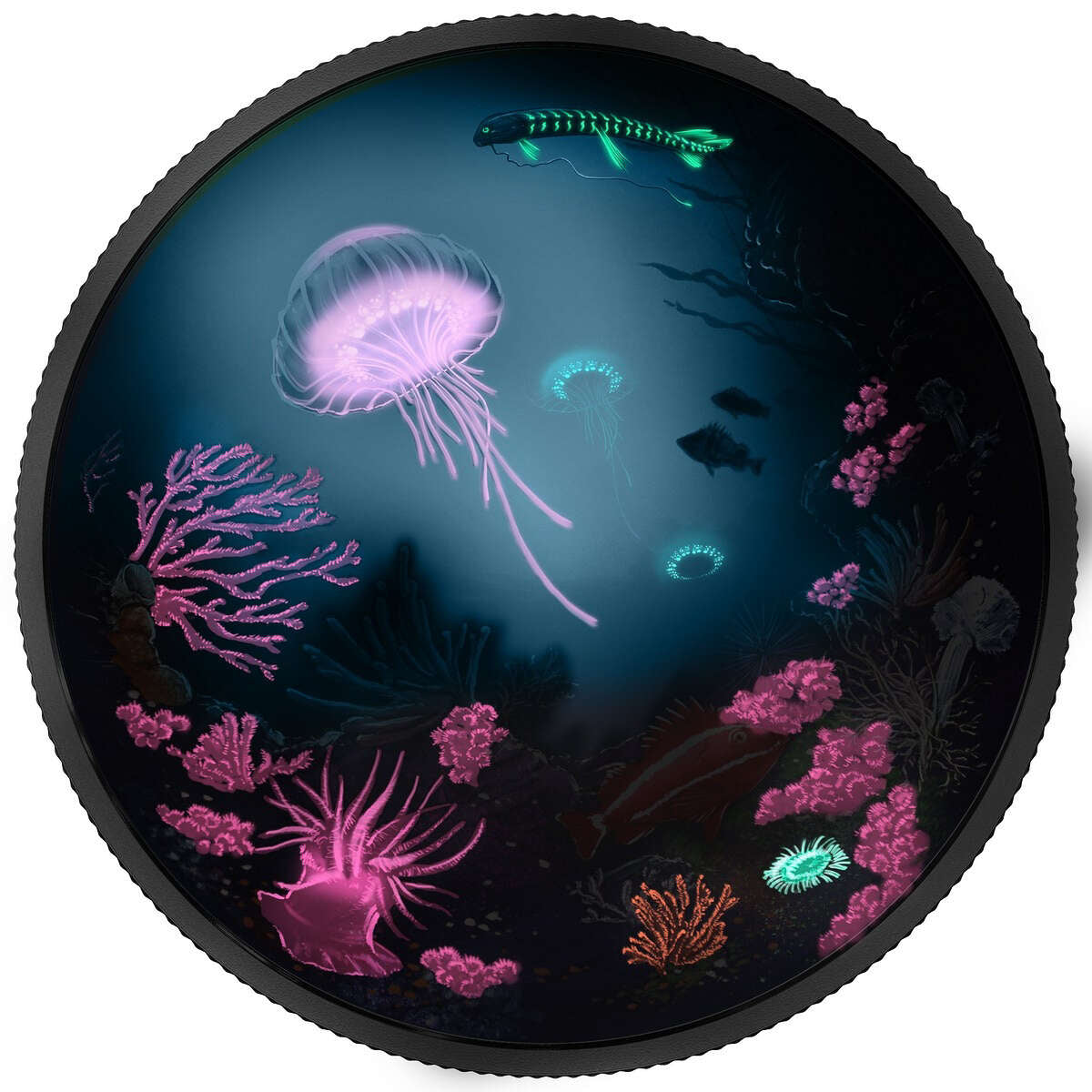 2016 $30 Luminescent Life (Under the Sea) - Pure Silver Coin Default Title