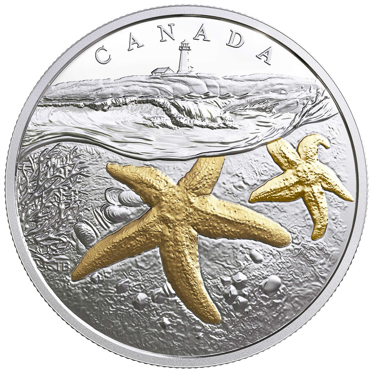 2017 $20 From Sea to Sea to Sea: Atlantic Starfish - Pure Silver Coin Default Title