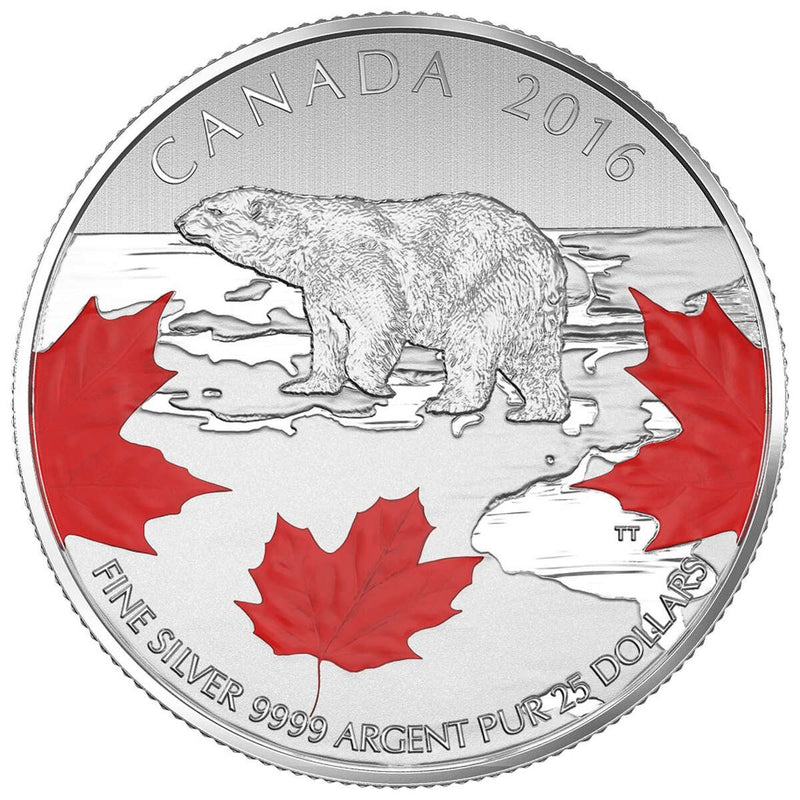 2016 $25 for $25 True North - Pure Silver Coin Default Title